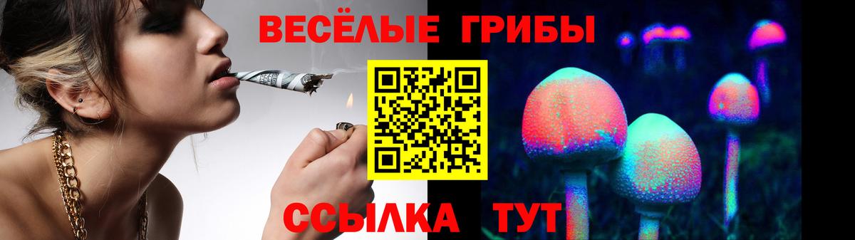 Галлюциногенные грибы Cubensis  цены наркотик  Североморск  Вход с VPN 